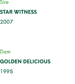 Sire STAR WITNESS 2007 Dam GOLDEN DELICIOUS 1995