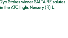 2yo Stakes winner SALTAIRE salutes in the ATC Inglis Nursery (R) L.