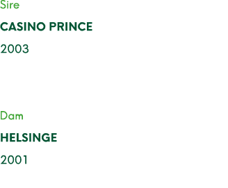 Sire Casino Prince 2003 Dam Helsinge 2001