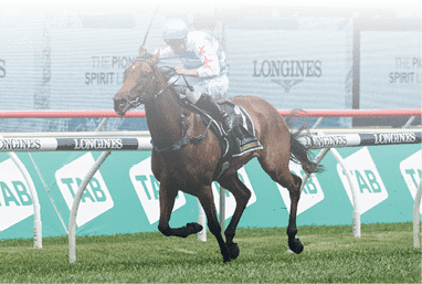 Forbidden Lov e (Tommy Berry) trained b y Michael & Richard Freedman wins the Reginald Allen Quality (Listed) at Randwick on October 17, 2020 - photo by Martin King/Sportpix copyright