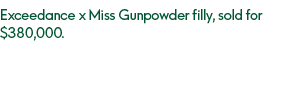 Exceedance x Miss Gunpowder filly, sold for $380,000.