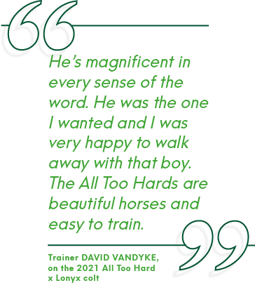 Trainer David Vandyke, on the 2021 All Too Hard x Lonyx colt,He’s magnificent in every sense of the word. He was the ...