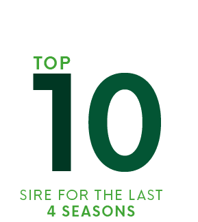 sire for the last 4 seasons,Top,1
