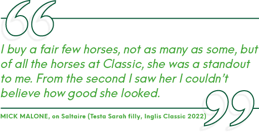 Mick Malone, on Saltaire (Testa Sarah filly, Inglis Classic 2022),I buy a fair few horses, not as many as some, but o...