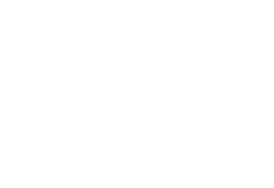 Year of Birth 2017 (5YO) To Stud 2021 Height 16 HH Colour Brown