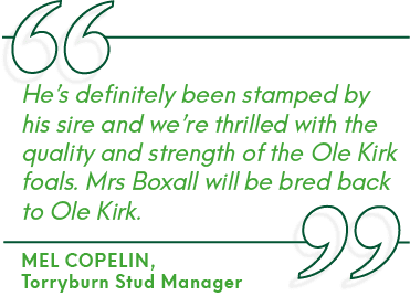Mel Copelin, Torryburn Stud Manager,He’s definitely been stamped by his sire and we’re thrilled with the quality and ...