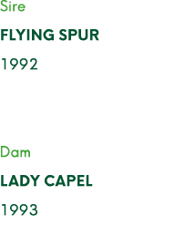 Sire FLYING SPUR 1992 Dam LADY CAPEL 1993