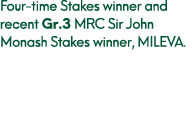 Four time Stakes winner and recent Gr.3 MRC Sir John Monash Stakes winner, MILEVA.